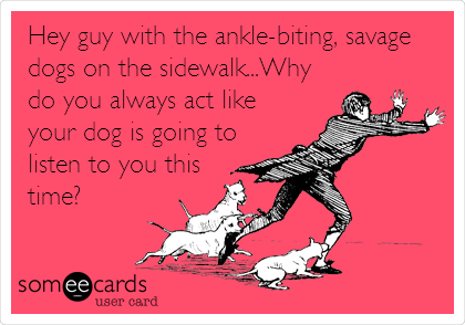 Hey guy with the ankle-biting, savage
dogs on the sidewalk...Why
do you always act like
your dog is going to
listen to you this
time?