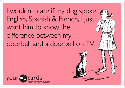 I wouldn't care if my dog spoke
English, Spanish & French, I just
want him to know the
difference between my
doorbell and a doorbell on TV.
