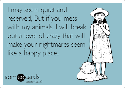 I may seem quiet and
reserved, But if you mess
with my animals, I will break
out a level of crazy that will
make your nightmares seem
like a happy place..