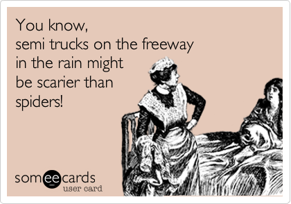 You know,
semi trucks in the rain
might be scarier
than spiders!