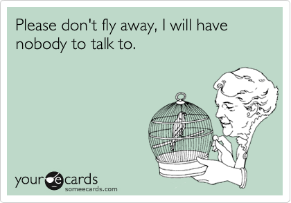 Please don't fly away, I will have nobody to talk to.