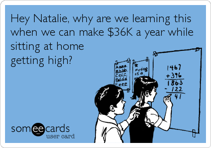 Hey Natalie, why are we learning this
when we can make $36K a year while
sitting at home
getting high?