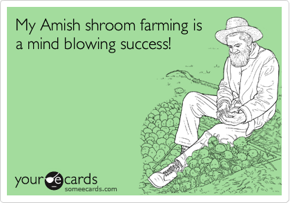 My Amish shroom farming is
a mind blowing success!