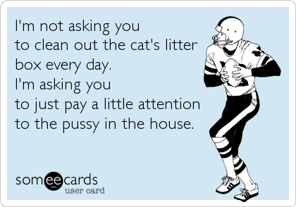 I'm not asking you 
to clean out the cat's litter
box every day. 
I'm asking you 
to just pay a little attention
to the pussy in the house.