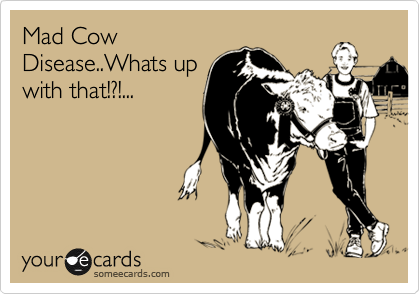 Mad Cow
Disease..Whats up
with that!?!...