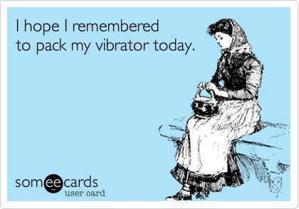 I hope I remembered
to pack my vibrator today.