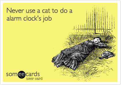 Never use a cat to do a
alarm clock's job
