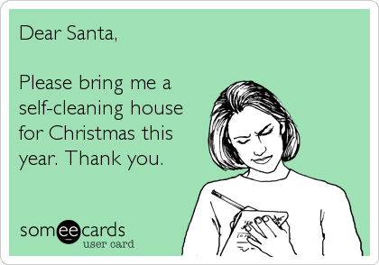 Dear Santa,

Please bring me a
self-cleaning house
for Christmas this
year. Thank you.