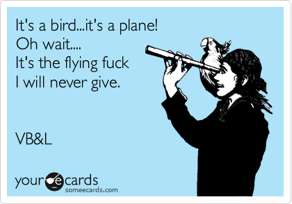 It's a bird...it's a plane!
Oh wait....
It's the flying fuck
I will never give.


VB&L 