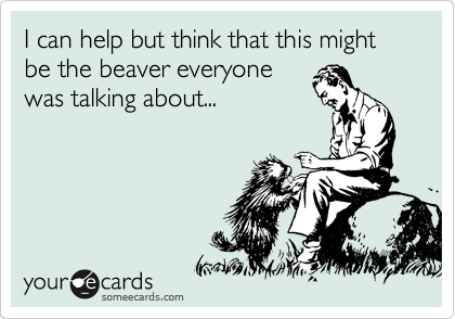 I can help but think that this might be the beaver everyone
was talking about...