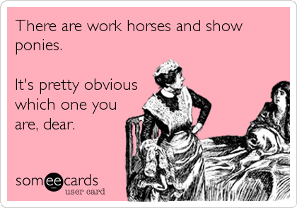 There are work horses and show
ponies.

It's pretty obvious
which one you
are, dear.