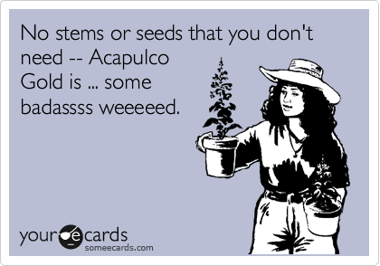 No stems or seeds that you don't need -- Acapulco
Gold is ... some
badassss weeeeed.