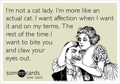 Iâ€™m not a cat lady. Iâ€™m more like an
actual cat. I want affection when I want
it and on my terms. The
rest of the time I
want to bite you
and claw your
eyes out.