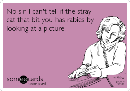 No sir. I can't tell if the stray
cat that bit you has rabies by
looking at a picture.