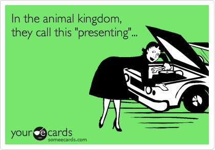 In the animal kingdom,
they call this "presenting"...