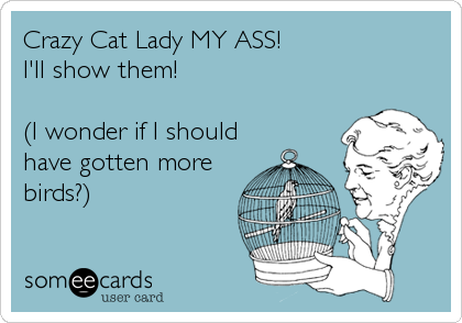 Crazy Cat Lady MY ASS!
I'll show them!

(I wonder if I should
have gotten more
birds?)