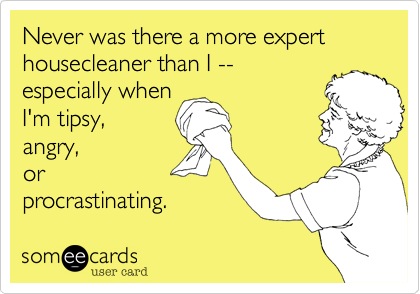 Never was there a more expert housecleaner than I -- 
especially when
I'm tipsy,
angry, 
or
procrastinating.