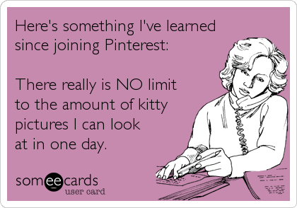 Here's something I've learned
since joining Pinterest:

There really is NO limit 
to the amount of kitty
pictures I can look
at in one day.