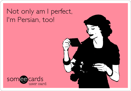 Not only am I perfect,
I'm Persian, too!