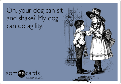 Oh%2C your dog can sit
and shake%3F My dog
can do agility.