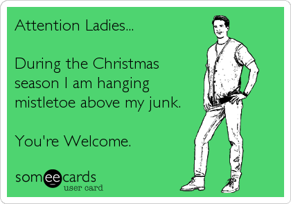 Attention Ladies...

During the Christmas
season I am hanging 
mistletoe above my junk.

You're Welcome.