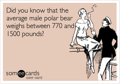 Did you know that the
average male polar bear
weighs between 770 and
1500 pounds?