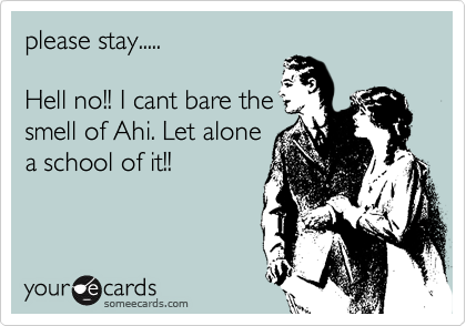 please stay.....
 
Hell no!! I cant bare the
smell of Ahi. Let alone
a school of it!!