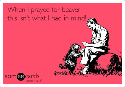 When I prayed for beaver
this isn't what I had in mind!