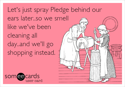 Let's just spray Pledge behind our
ears later..so we smell
like we've been
cleaning all
day..and we'll go
shopping instead.