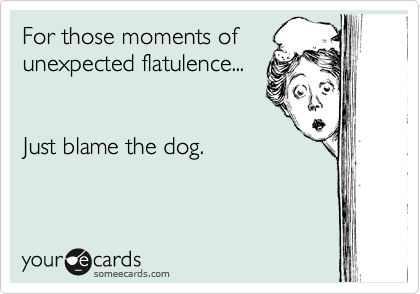 For those moments of
unexpected flatulence...


Just blame the dog. 