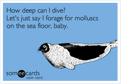 How deep can I dive?
Let's just say I forage for molluscs on the sea floor, baby. 