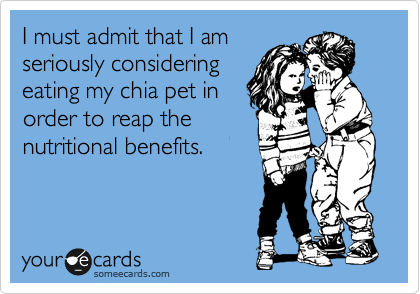 I must admit that I am
seriously considering
eating my chia pet in
order to reap the
nutritional benefits.