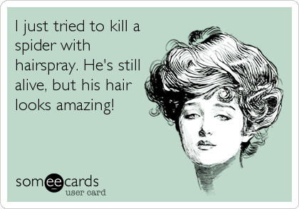 I just tried to kill a
spider with
hairspray. He's still
alive, but his hair
looks amazing!
