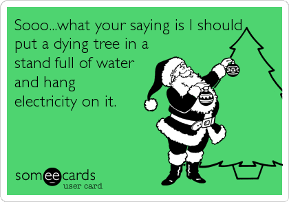 Sooo...what your saying is I should
put a dying tree in a
stand full of water
and hang
electricity on it.