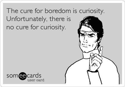 The cure for boredom is curiosity.
Unfortunately, there is
no cure for curiosity.

