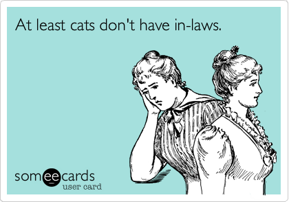 At least cats don't have in-laws.