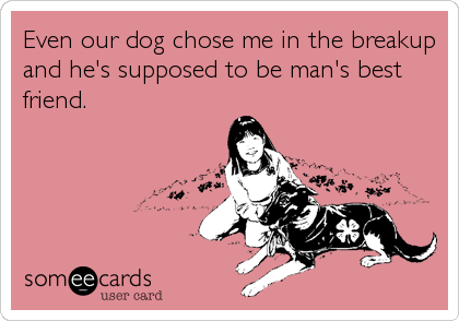 Even our dog chose me in the breakup
and he's supposed to be man's best
friend.