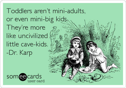 Toddlers arenâ€™t mini-adults,
or even mini-big kids.
Theyâ€™re more
like uncivilized
little cave-kids.
-Dr. Karp