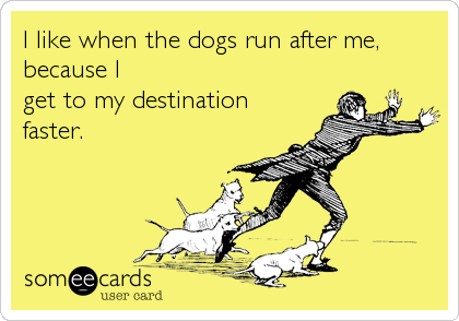 I like when the dogs run after me,
because I
get to my destination
faster.