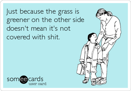 Just because the grass is
greener on the other side
doesn't mean it's not
covered with shit.