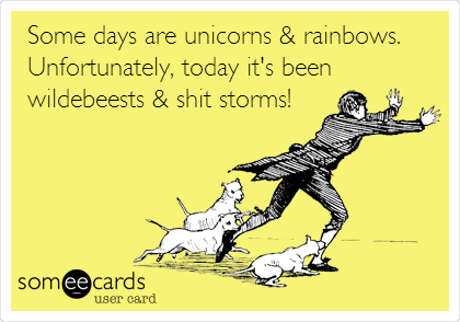Some days are unicorns & rainbows. 
Unfortunately, today it's been
wildebeests & shit storms!