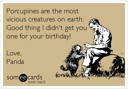 Porcupines are the most
vicious creatures on earth.
Good thing I didn't get you
one for your birthday!

Love,
Panda