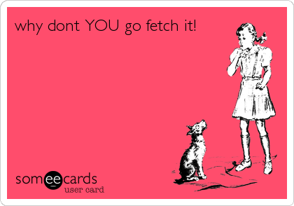 why dont YOU go fetch it!