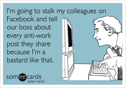I'm going to stalk my colleagues on Facebook and tell
our boss about
every anti-work
post they share
because I'm a
bastard like that.