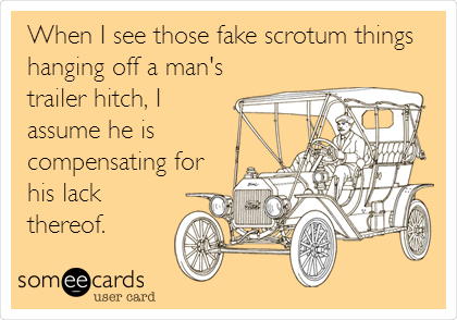 When I see those fake scrotum things
hanging off a man's
trailer hitch, I
assume he is
compensating for
his lack
thereof.