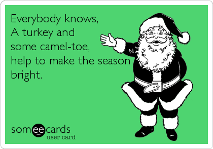 Everybody knows,
A turkey and
some camel-toe,
help to make the season
bright.