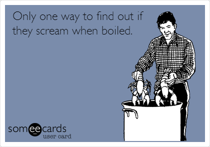 Only one way to find out if
they scream when boiled. 