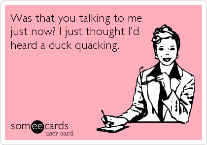 Was that you talking to me
just now? I just thought I'd
heard a duck quacking.