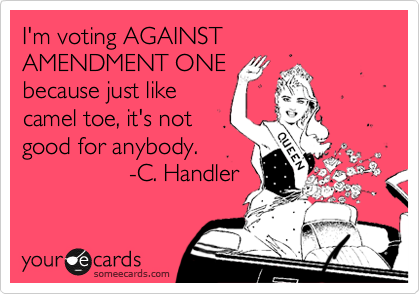 I'm voting AGAINST  
AMENDMENT ONE 
because just like
camel toe,  
it's not good 
for anybody.