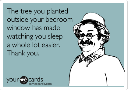 The tree you planted 
outside your bedroom
window has made
watching you sleep 
a whole lot easier. 
Thank you. 
 